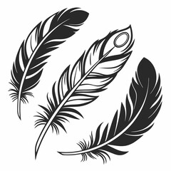Obraz premium Bird feather silhouettes. bird feather icon Black Silhouette