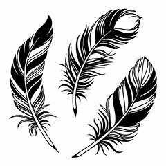 Bird feather silhouettes. bird feather icon Black Silhouette