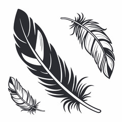 Bird feather silhouettes. bird feather icon Black Silhouette
