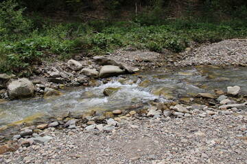 River in the Mountain Forest