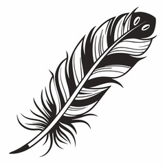 Obraz premium Bird feather silhouettes. bird feather icon Black Silhouette