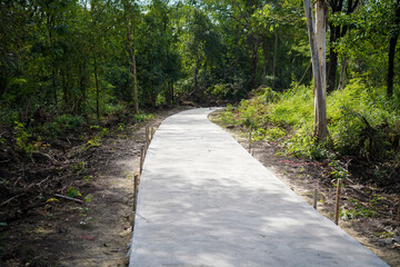 Newly small completed concrete rebate road in a village, offering a vital connection through the rural landscape, lined with greenery nature tropical botanical plants in Thailand.