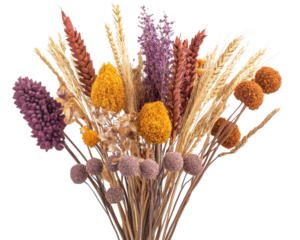 Colorful dried flowers bouquet, vibrant hues on a white isolate background.