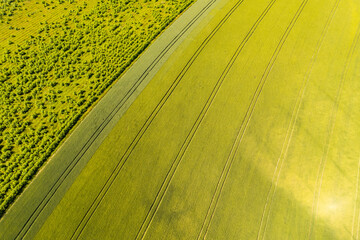 Aerial view meadow by ex Sudeten village Vendoli on historical border Moravia and Czechia in June...