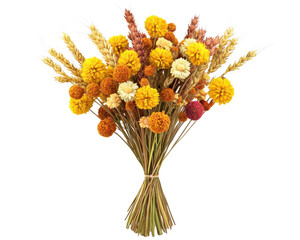 Obraz premium Colorful dried flowers bouquet, white isolate background