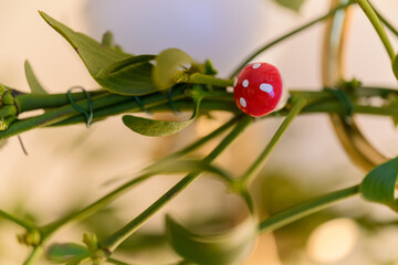 A miniature plastic toadstool on a sprig of mistletoe.
