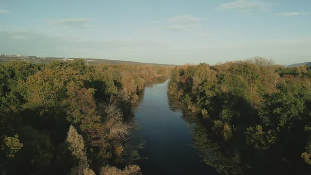 Volga river flowing through lush green forest at sunset