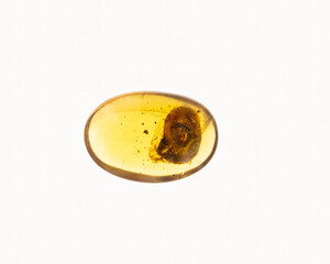 Hobbies and Leisure Industry