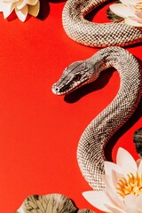 Obraz premium Chinese New Year 2025, A snake intertwined with water lilies on a vibrant red background, creating a striking contrast and a visually captivating scene.