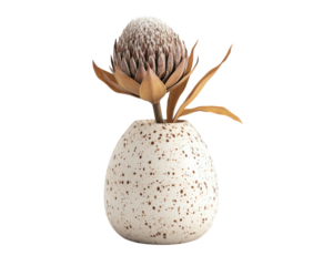 Decorative vase with dried protea flower and leaves, white isolated background.