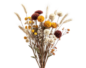 Dried flower bouquet with various colors and textures, white isolated background.