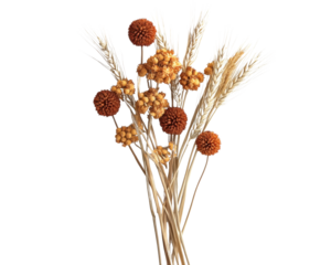 Dried flower bouquet with wheat and orange accents, white isolated background.