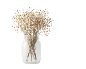 Dried flowers in a clear jar, white isolated background