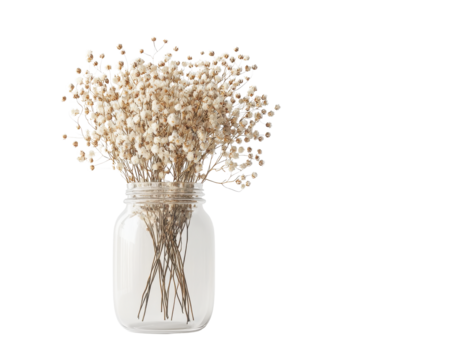 Dried flowers in a clear jar, white isolated background