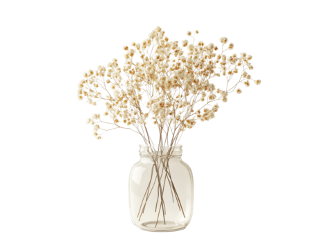 Dried flowers in a glass vase with a transparent background.