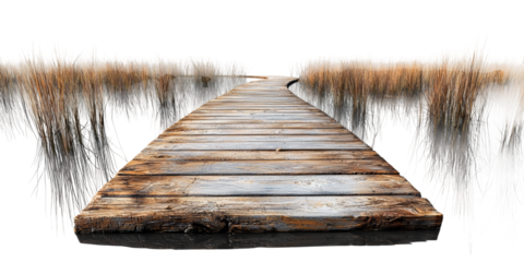 Serene Wooden Path Through Marshland Isolated on transparent background