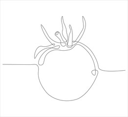 One continuous line drawing of cherry tomato . single line drawing of cherry toatoes.  cherry tomato illustration