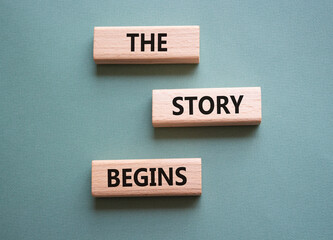 The Store Begins symbol. Concept words The Store Begins on wooden blocks with succulent plant....