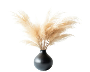 Elegant pampas grass arrangement in a sleek black vase.