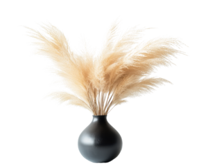 Elegant pampas grass arrangement in a sleek black vase.