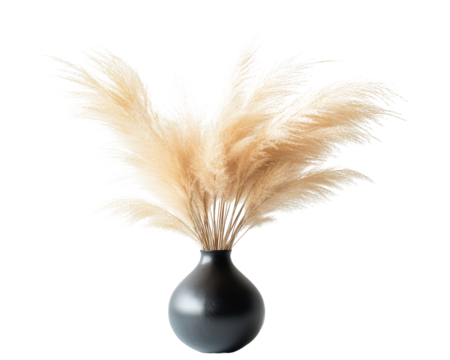 Elegant pampas grass arrangement in a sleek black vase.