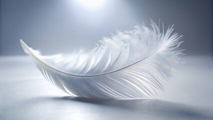 Obraz premium Minimalist White Feather Background: Pure Elegance & Simple Beauty