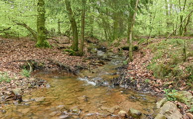 Beautiful view of the Fagne de Malchamps