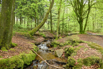 Obraz premium Beautiful view of the Fagne de Malchamps
