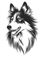 Majestic Collie Portrait 