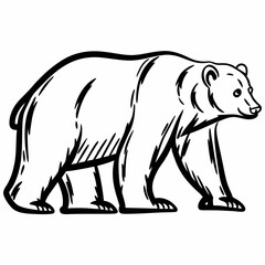 polar bear vector