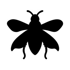Detailed Vector Illustration of a Fly