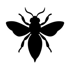 Detailed Vector Illustration of a Fly