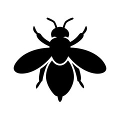 Detailed Vector Illustration of a Fly