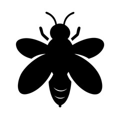 Detailed Vector Illustration of a Fly