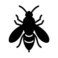 Free Download: Black Fly Vector Graphic