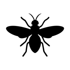 Modern Fly Icon in Vector Format