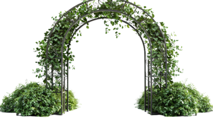 Regal Iron Entrance on white background PNG.