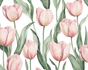 Obraz premium Pink tulips with green leaves, arranged beautifully on a white background.