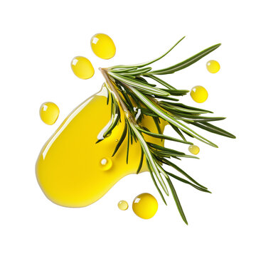 Fresh rosemary sprig in olive oil splash  
