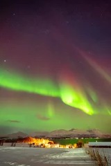 Aurores boréales tromso Norvège © Pierre