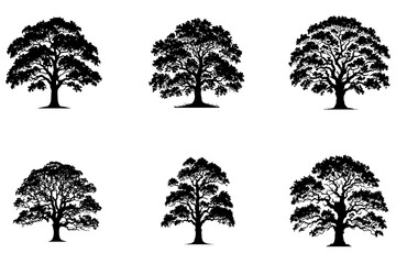 Group silhouettes oak tree