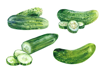 Cucumbers, watercolor painting, illustration. Set for label, poster, card design.