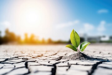 Growing resilience amid climate change on cracked earth with a new green leaf symbolizing hope and renewal