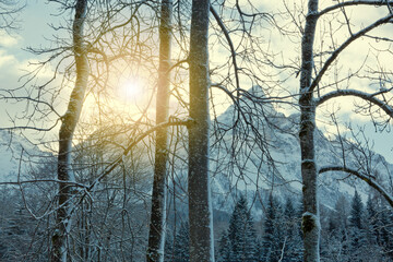 Obraz premium Winter landscape with sunset and Alpine mountains