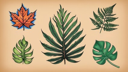 Naklejka premium Five Detailed Botanical Illustrations Maple Leaf Fern Palm Monstera and Tropical Leaf Designs