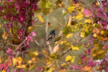 bird on a branch