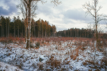A field with snow in Mölledammarna in Billesholm, Sweden.