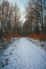 A road in mölledammarna in Billesholm, Sweden