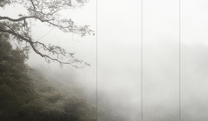 A collection of black and white backgrounds featuring a dust explosion and particle spray