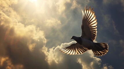 Obraz premium The Radiant Dove: A Symbol of Spiritual Peace and Hope